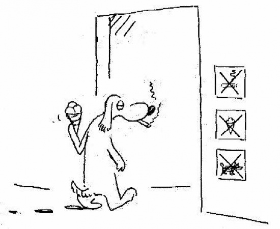 Brydż - Jak się bawić bridżem